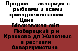 Продам 100 аквариум с рыбками и всеми принадлежностями › Цена ­ 10 000 - Московская обл., Люберецкий р-н, Красково дп Животные и растения » Аквариумистика   